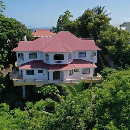 Mountain Apartment Agent And Tours